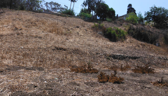 Ventura Westside Bicycle and Pedestrian Improvements Project, City of San Buenaventura, California