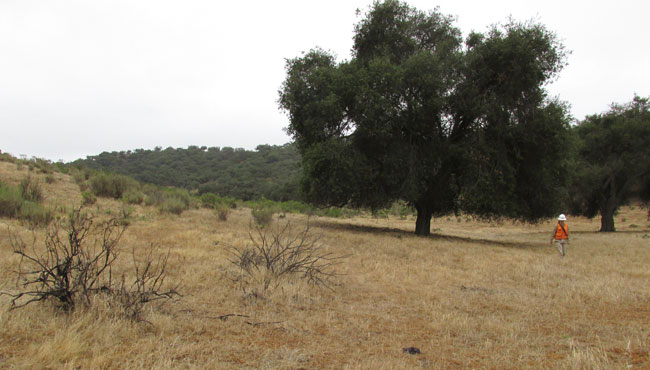 East Cat Canyon Oil Field Redevelopment Project, Santa Barbara County, California