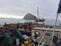 Morro Bay Power Plant Marine Terminal Decommissioning Project, Morro Bay, California